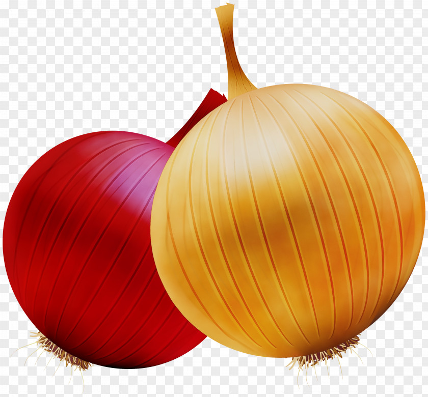 Yellow Onion Red PNG
