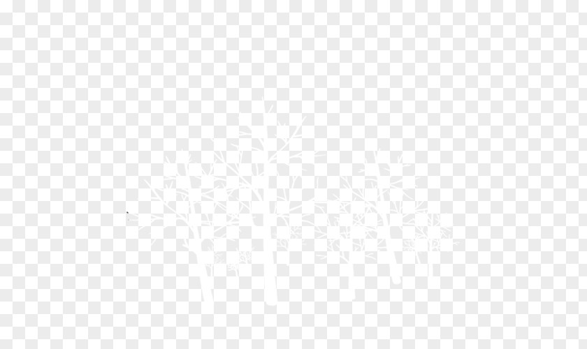 Branches PNG