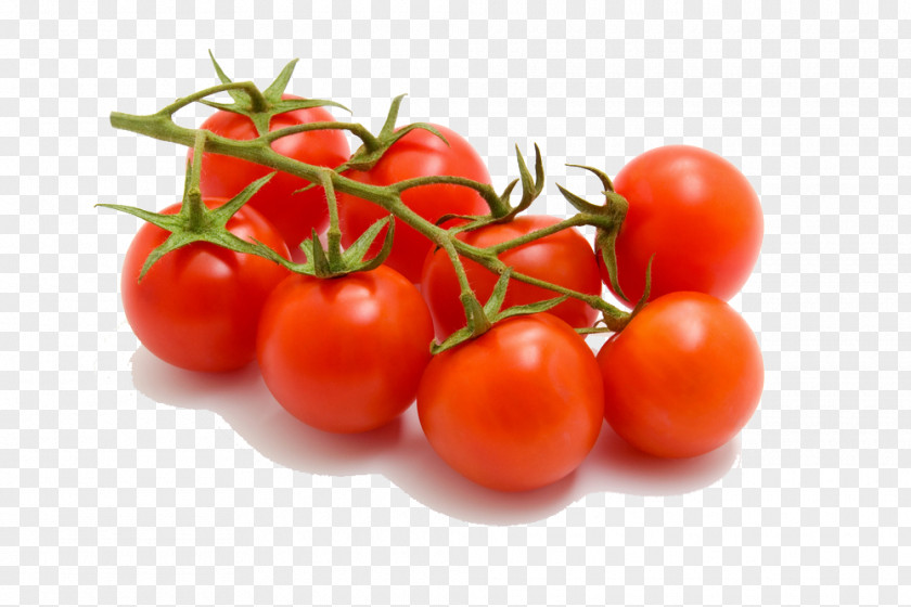 Cherry Tomatoes Tomato Bruschetta Beefsteak Vegetable Variety PNG