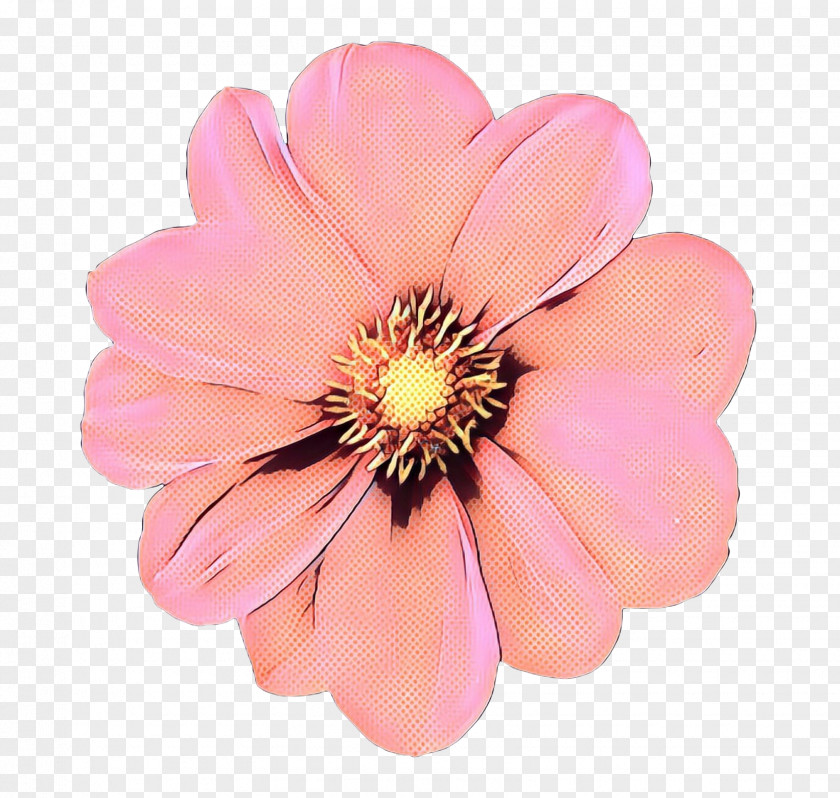 Clip Art Flower Image Transparency PNG