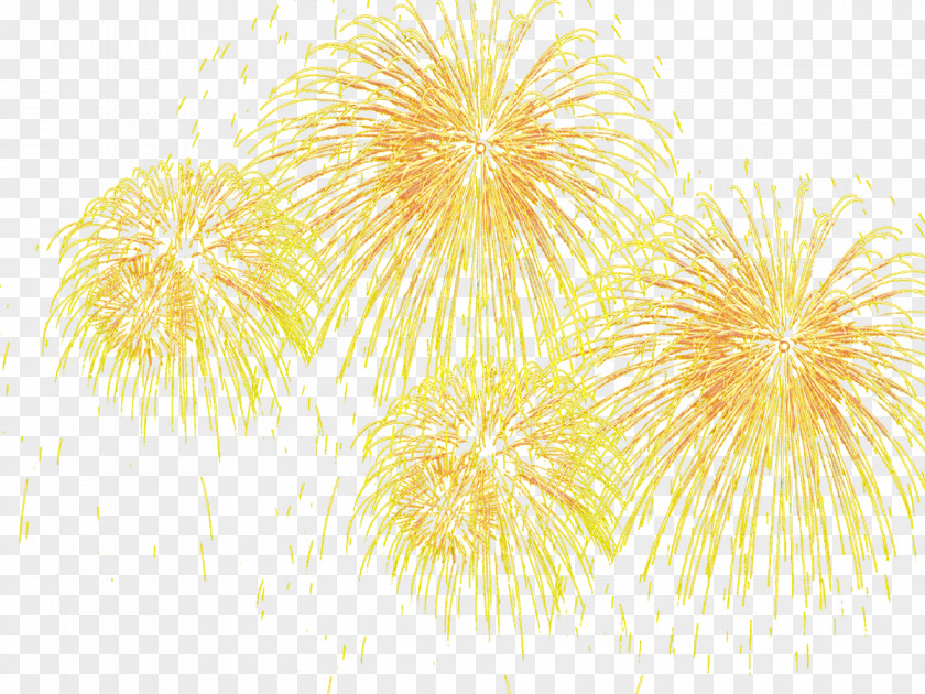 Fireworks Effect Adobe Icon PNG