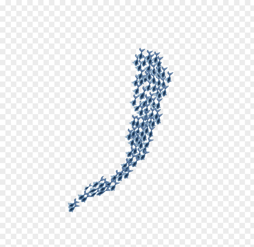 Fish Shoaling And Schooling Computer File PNG