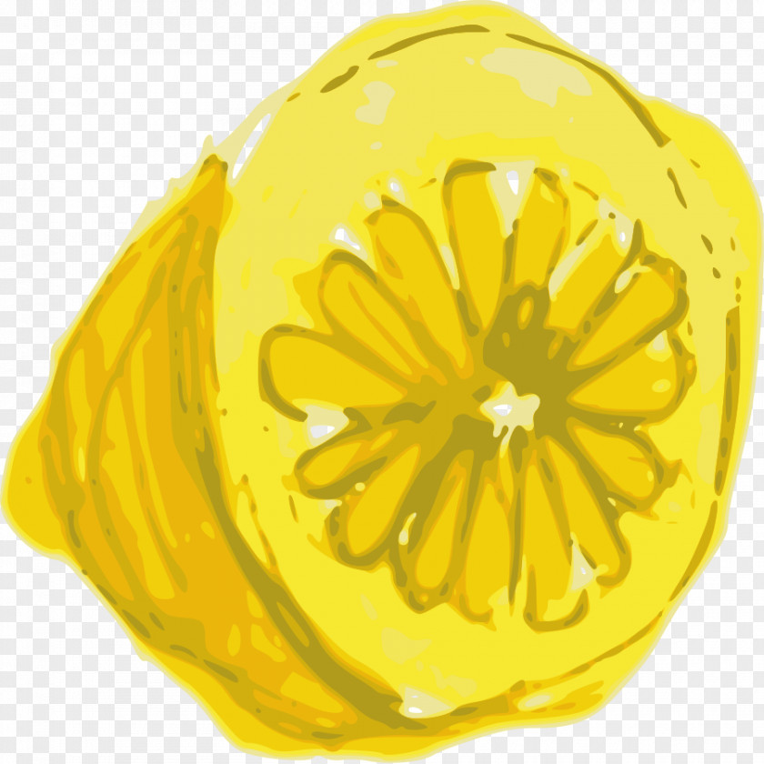 Lemons Lemon Citron Clip Art PNG