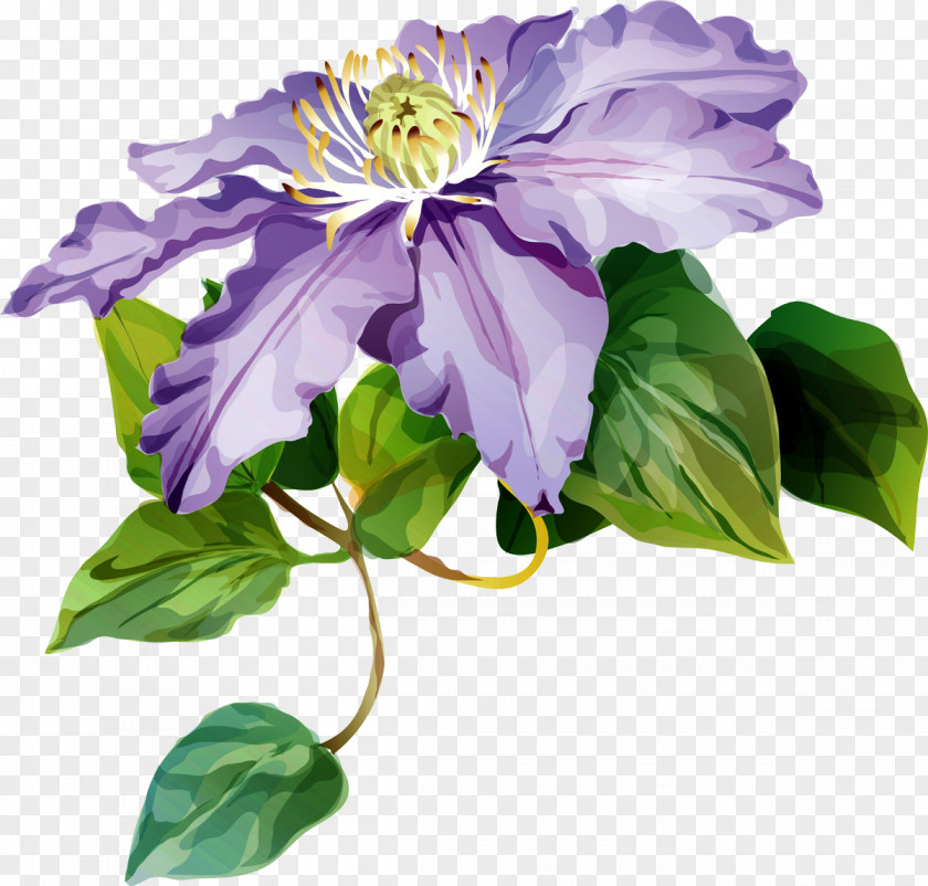 Purple Leather Flower Cut Flowers Petal PNG
