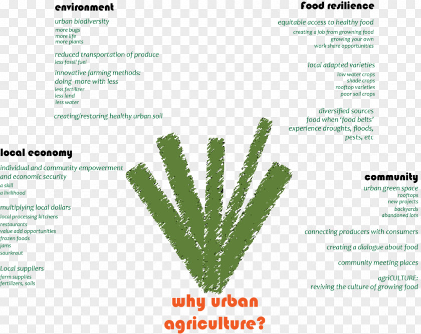 Urban Farm Grasses Brand Line Tree Font PNG