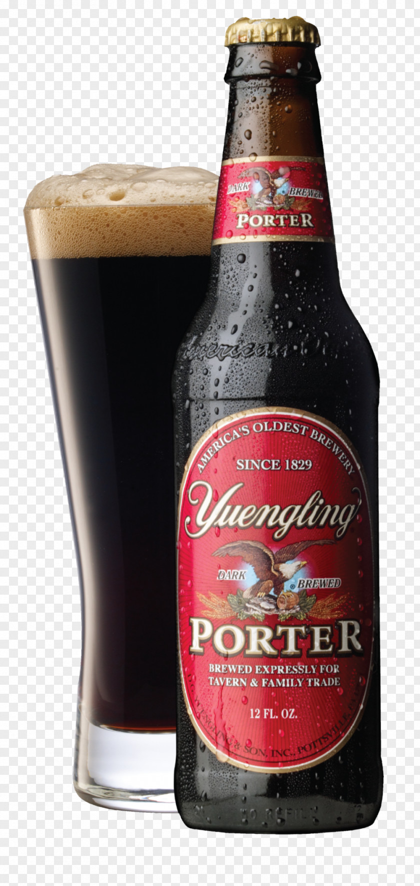 Beer Ale Lager Yuengling Porter PNG