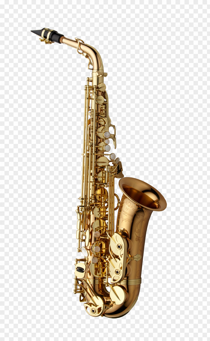 Bronze Alto Saxophone Yanagisawa Wind Instruments Musical Key PNG