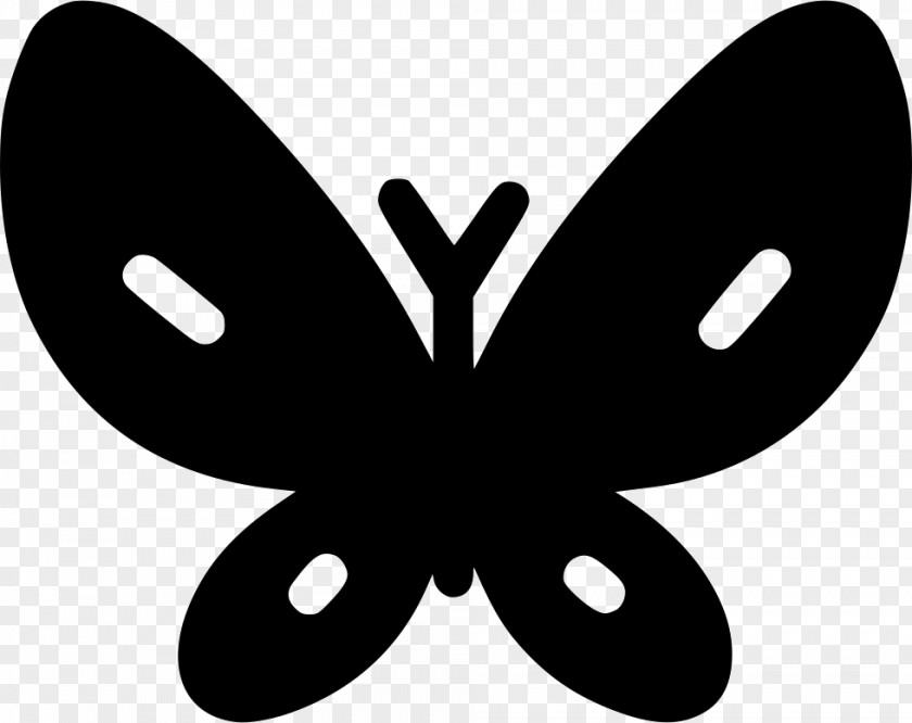 Butterfly Brush-footed Butterflies Adobe Illustrator Clip Art PNG