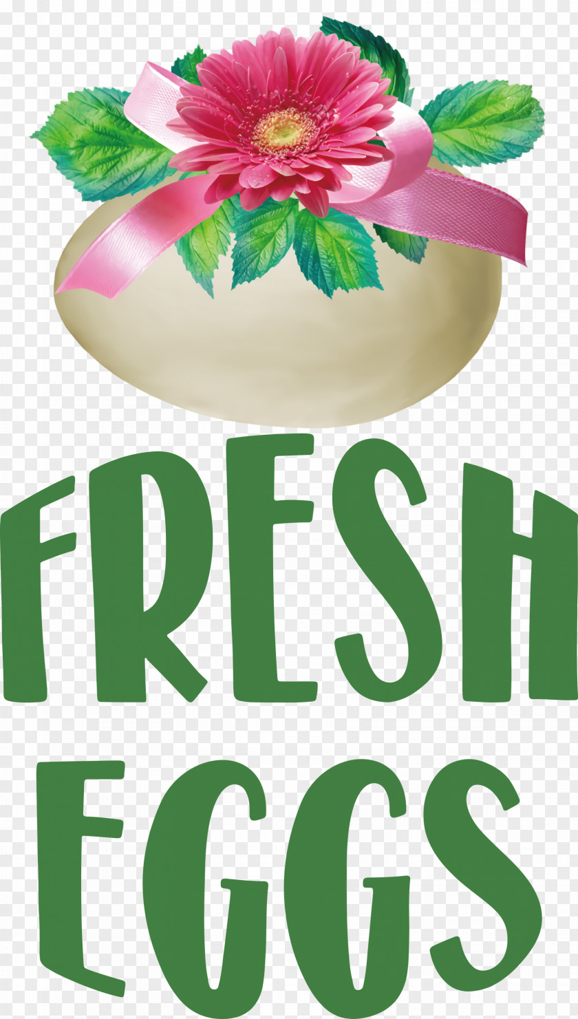 Fresh Eggs PNG