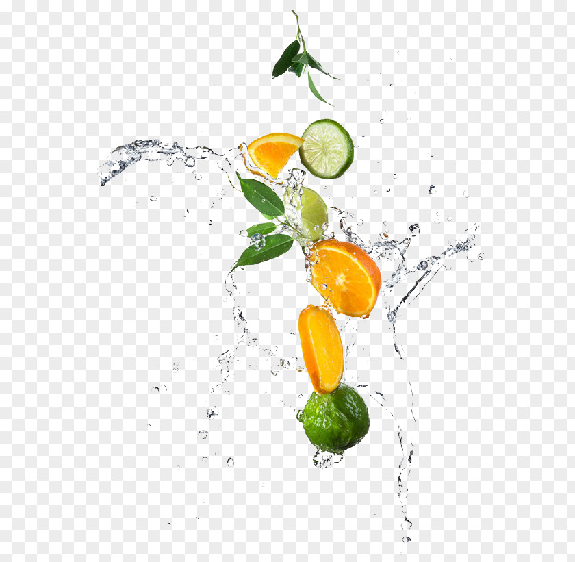 Fruits And Water Lemon Lime Orange Photography PNG