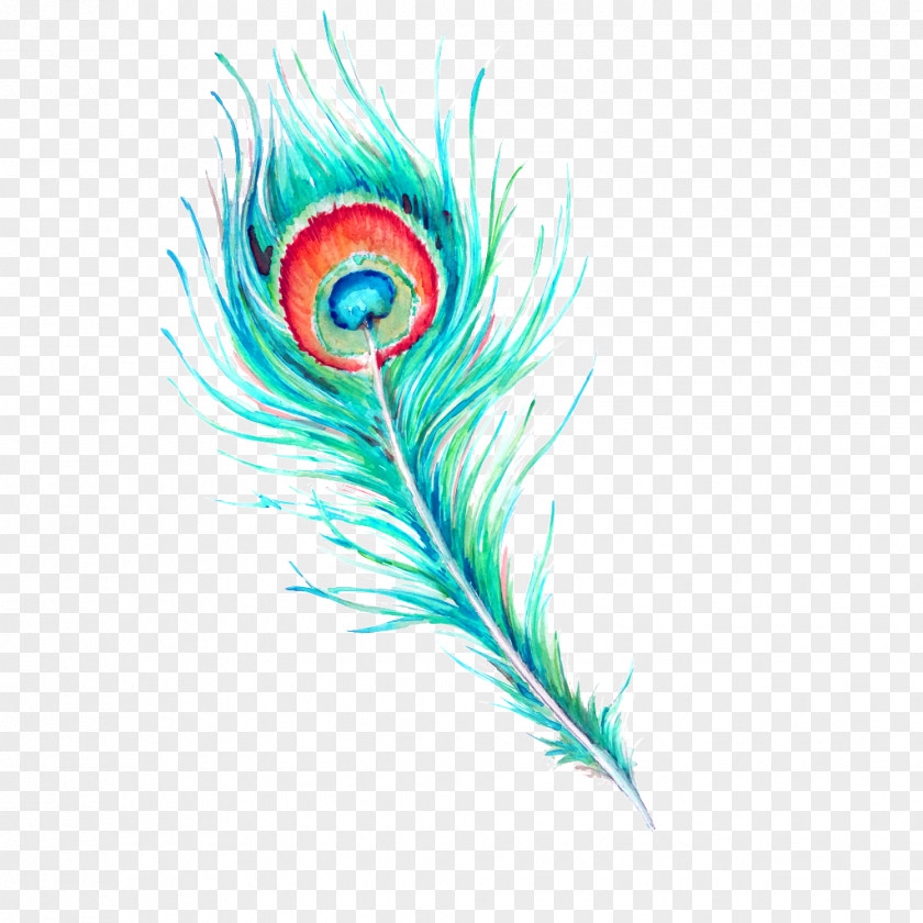 Hand Painted Watercolor Peacock Hair Feather Painting PNG