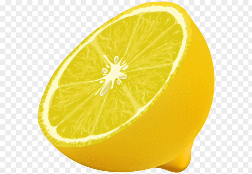 Lemon Frame Clipart Clip Art Image Design PNG