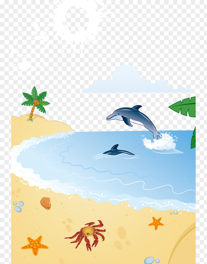 Vector Beach Porpoise Dolphin Coconut Arecaceae PNG