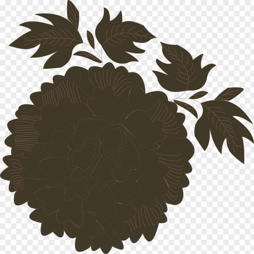 Black Peony Moutan PNG