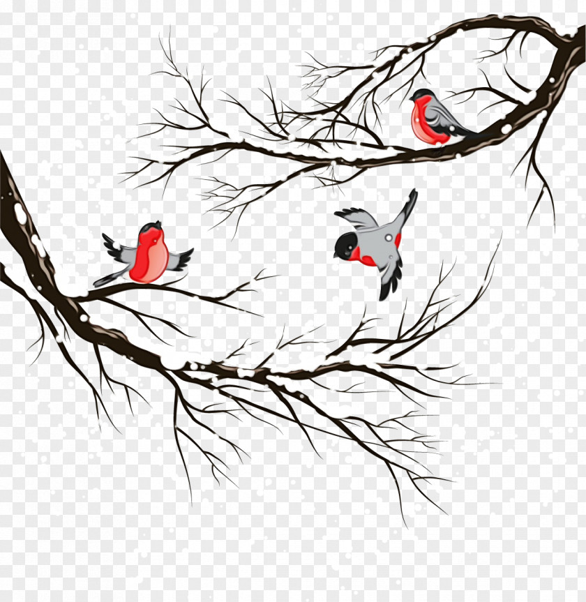 Drawing Perching Bird Branch Beak Plant Line Art PNG