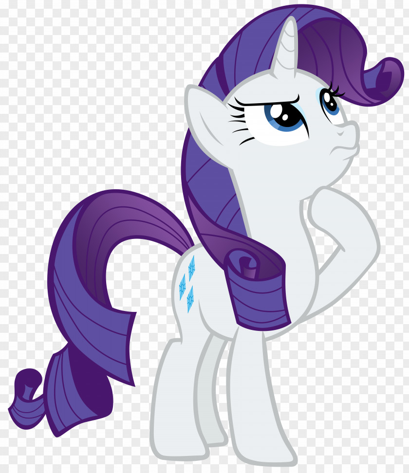 My Little Pony Twilight Sparkle Rarity Rainbow Dash Pinkie Pie PNG