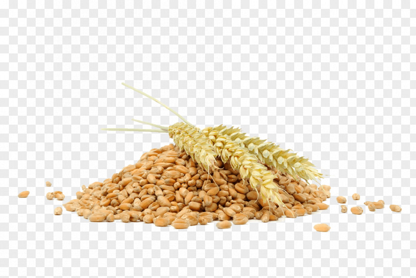 Natural Stock Photography Wheat Ear Cereal Bulgur PNG