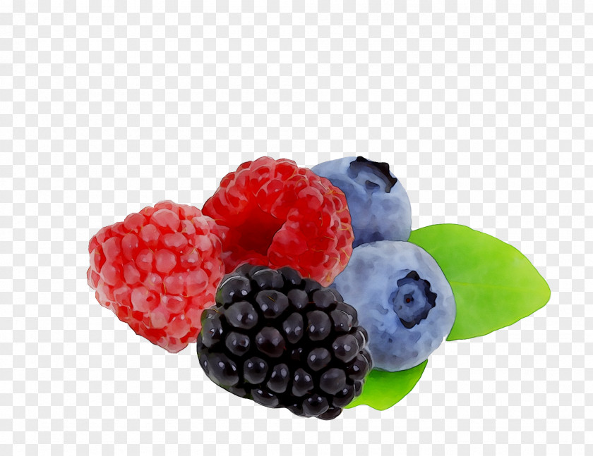 Raspberry Boysenberry Blueberry Bilberry Berries PNG