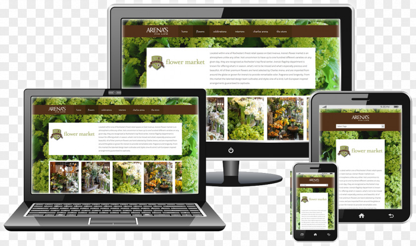 Responsive Design Web PNG