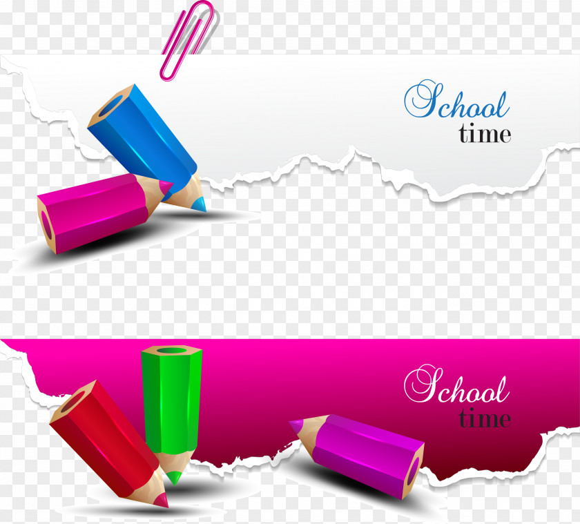 Creative Decorative Color Pencil Vector Paper School Illustration PNG