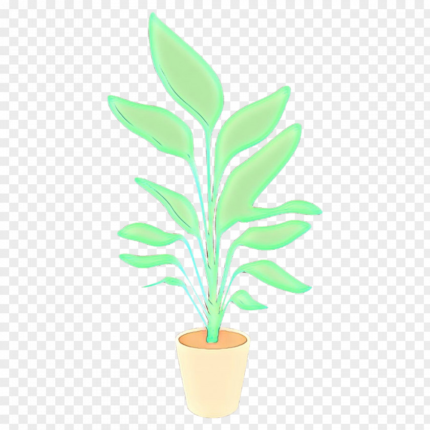 Flowerpot Leaf Houseplant Green Plant PNG
