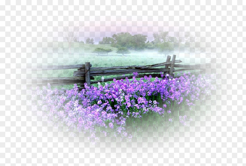 пейзаж Landscape Image Nature Painting PNG