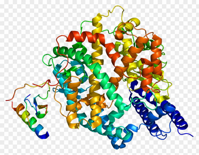 Protein ACE Inhibitor Angiotensin-converting Enzyme 2 PNG