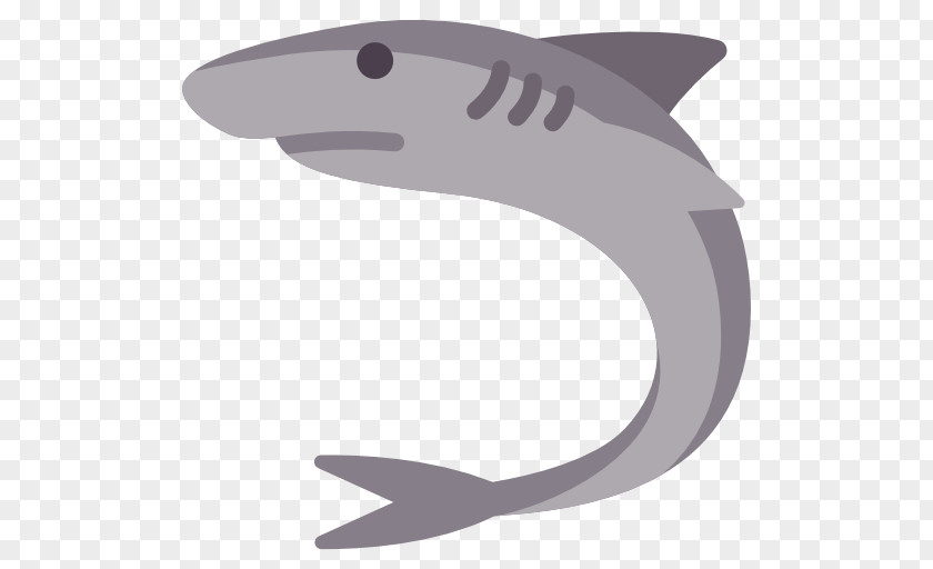 Shark Requiem Sharks Clip Art PNG