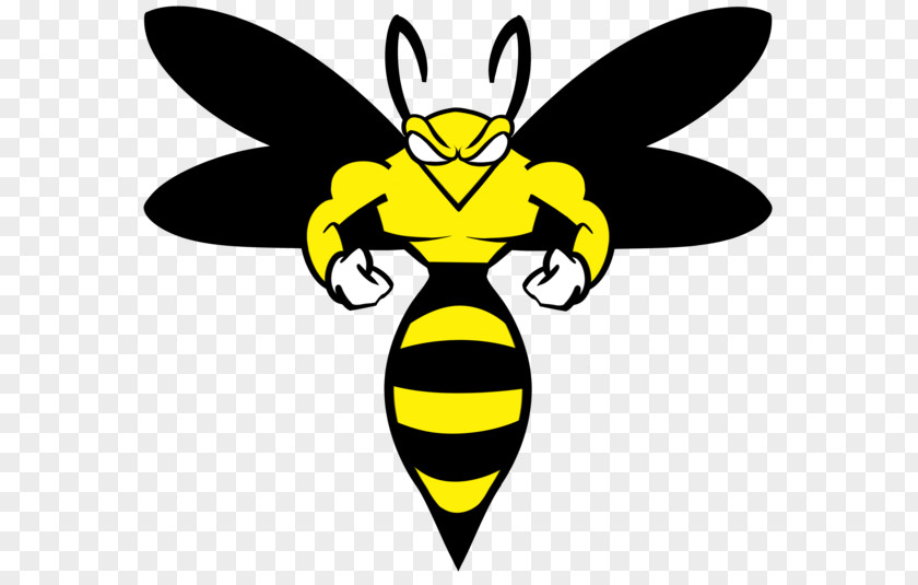 Wasp Yellowjacket Logo System PNG