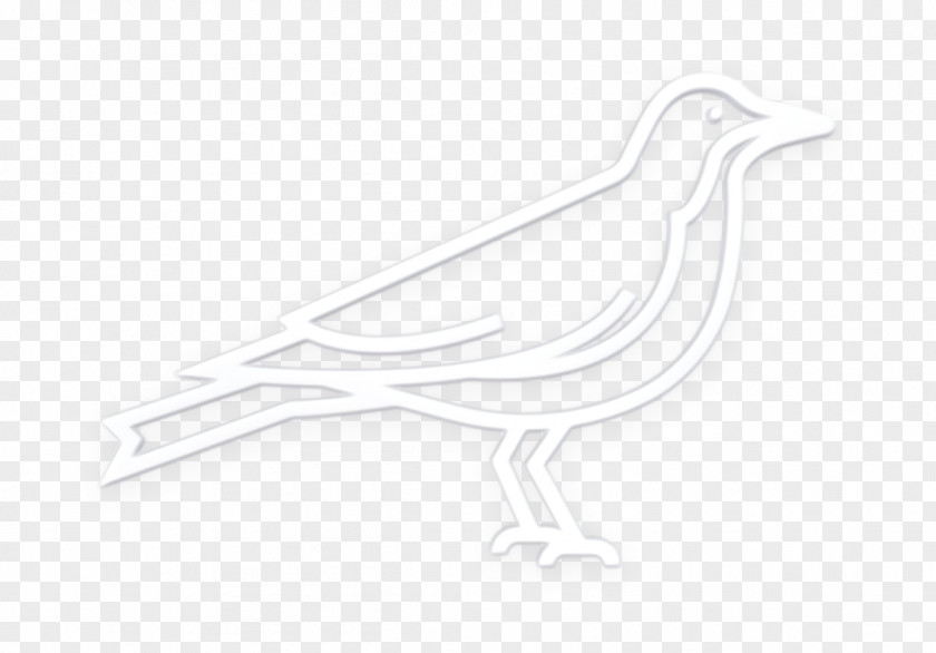 Water Bird Animation Icon Corvus Crow PNG