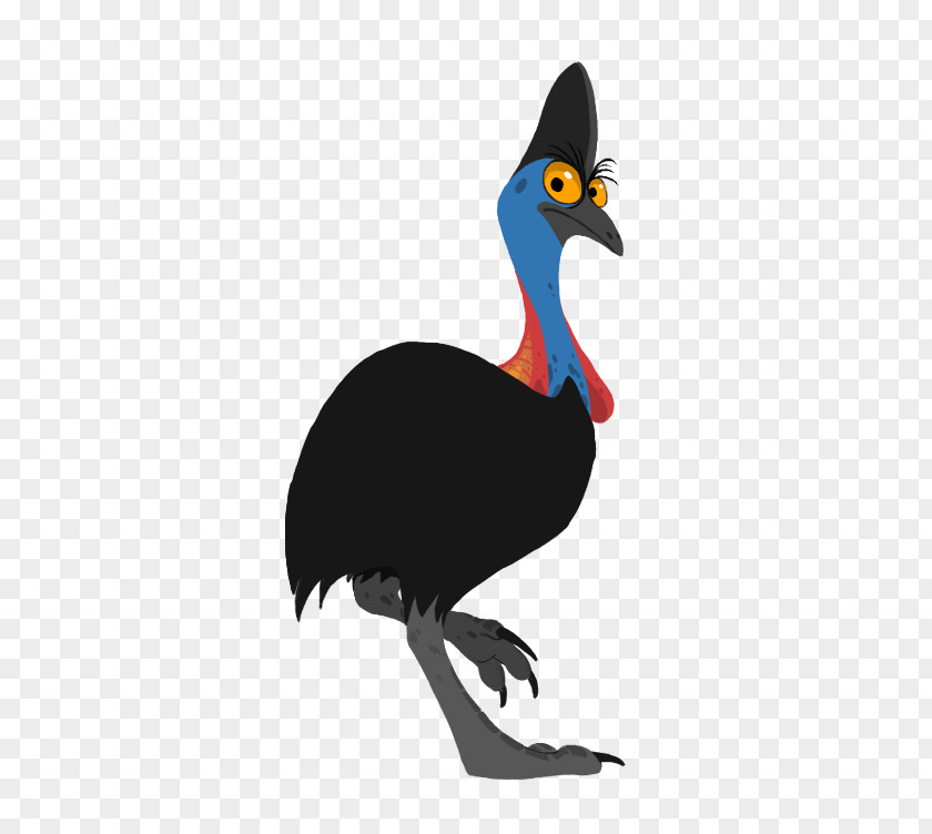 Cassowary Bird Drawing Southern Clip Art PNG