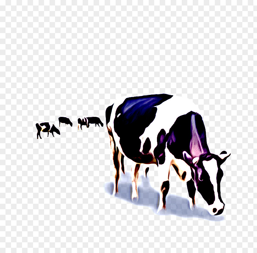 Dairy Cow Bovine Background PNG