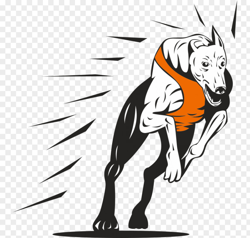 Greyhound Racing Clip Art PNG
