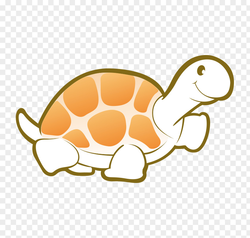 Of A Turte Turtle Vector Graphics Image Cartoon PNG