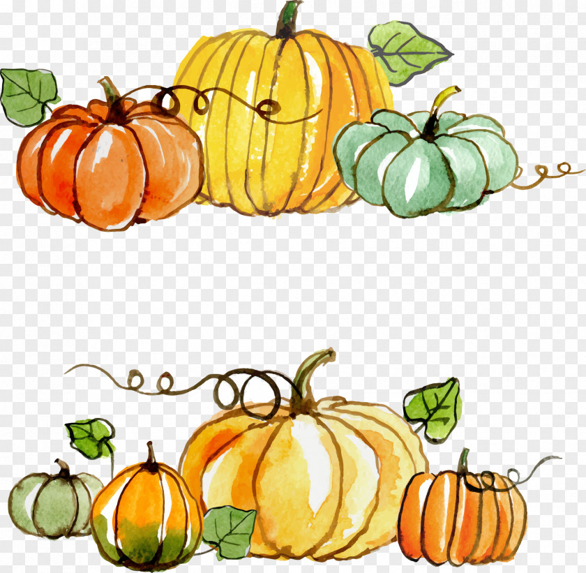 Thanksgiving Pumpkin Painted Material Gratitude Gift Clip Art PNG