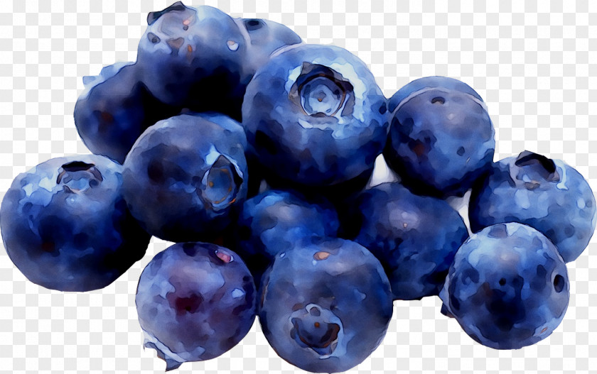 Blueberry Huckleberry Bagel Bilberry Mr Yummy Rosquilla Baja En Calorias PNG