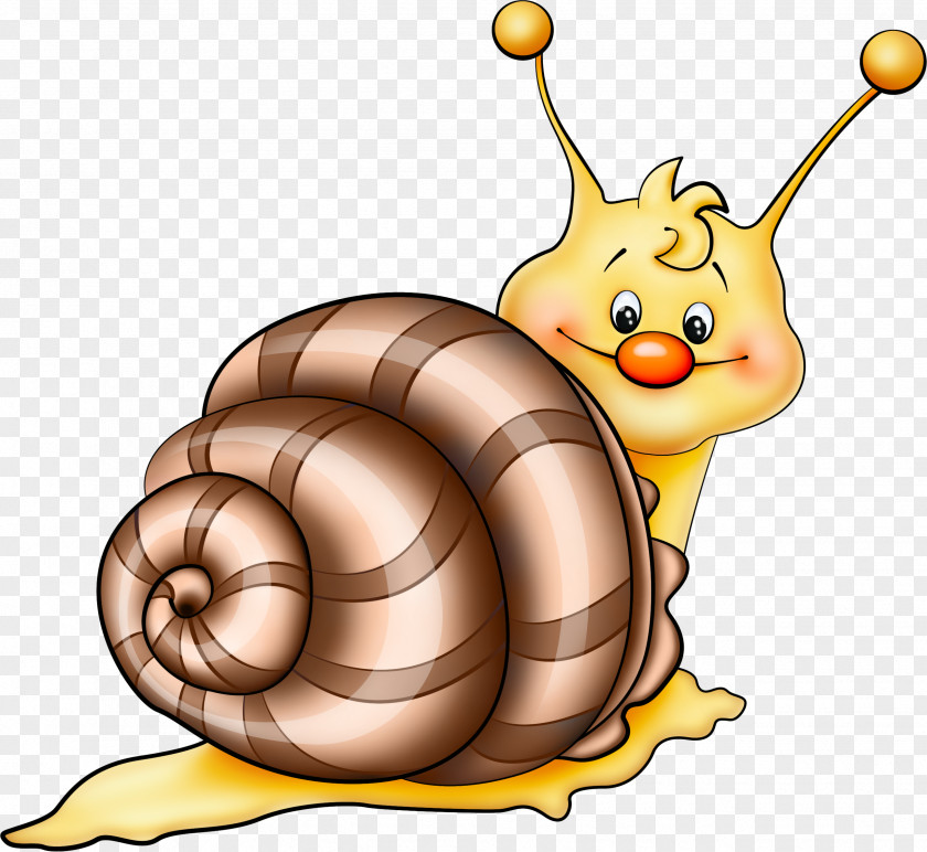 Brown Snail Cartoon Picture Clip Art PNG
