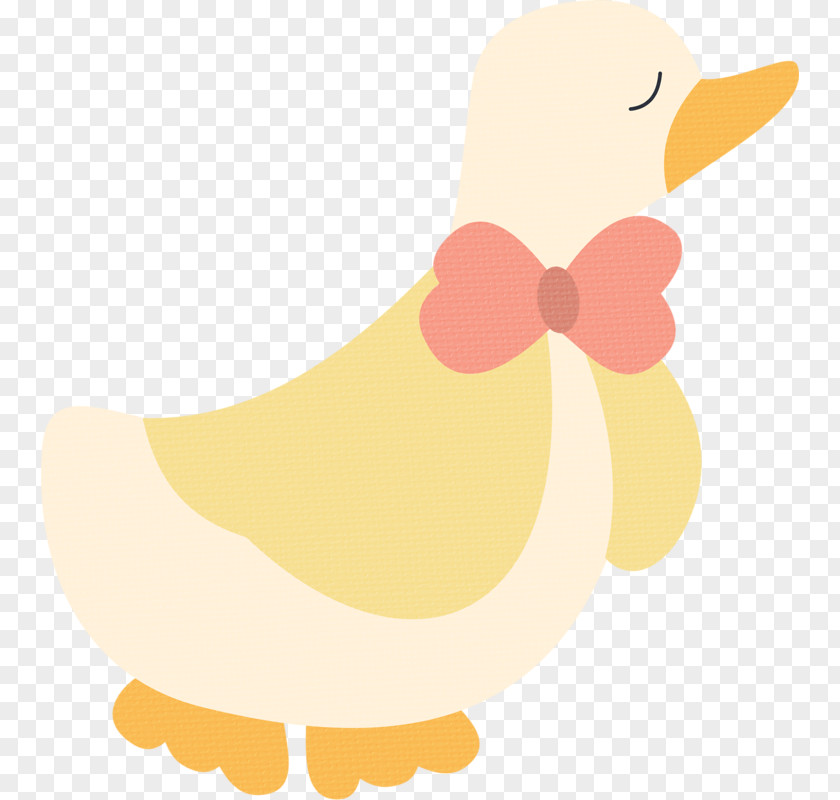 Cartoon Duck Illustration PNG