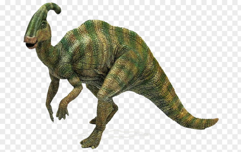 Dinosaur Tyrannosaurus Parasaurolophus Simulator Styracosaurus PNG