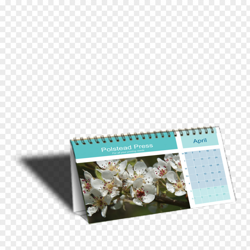 Fashion Desk Calendar Direct Marketing Customer Company PNG