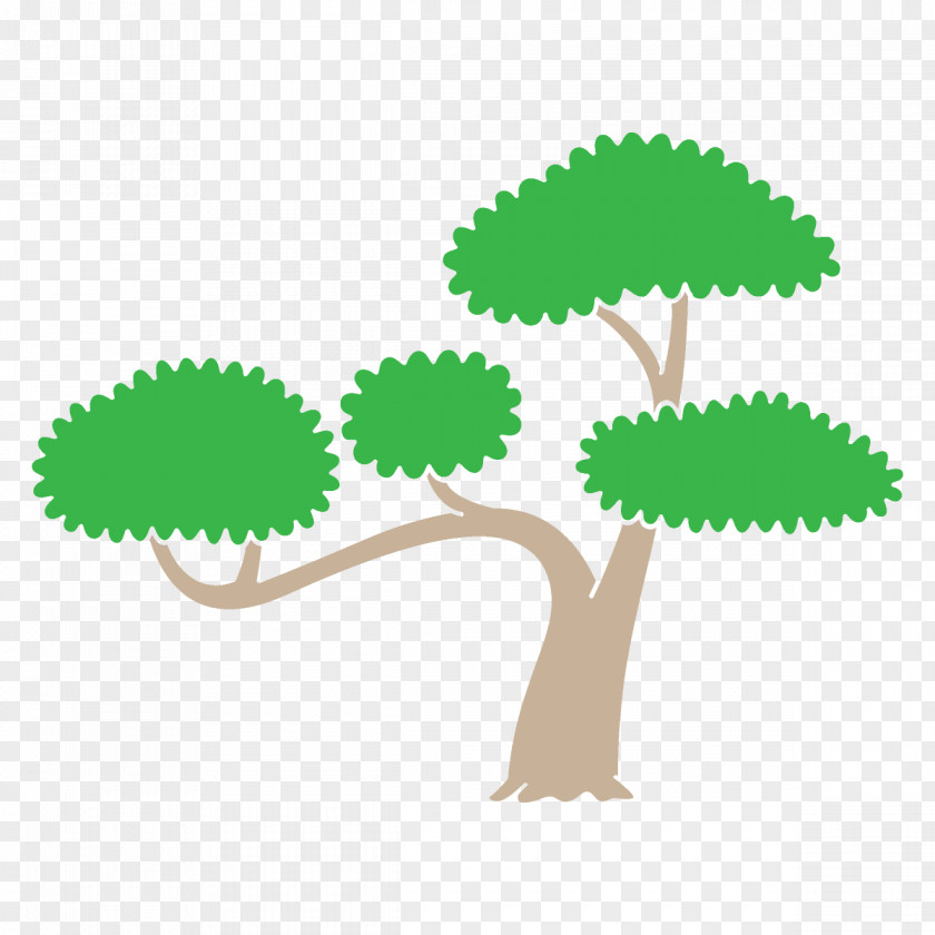 Plant Stem Grass Green Tree Clip Art Leaf PNG
