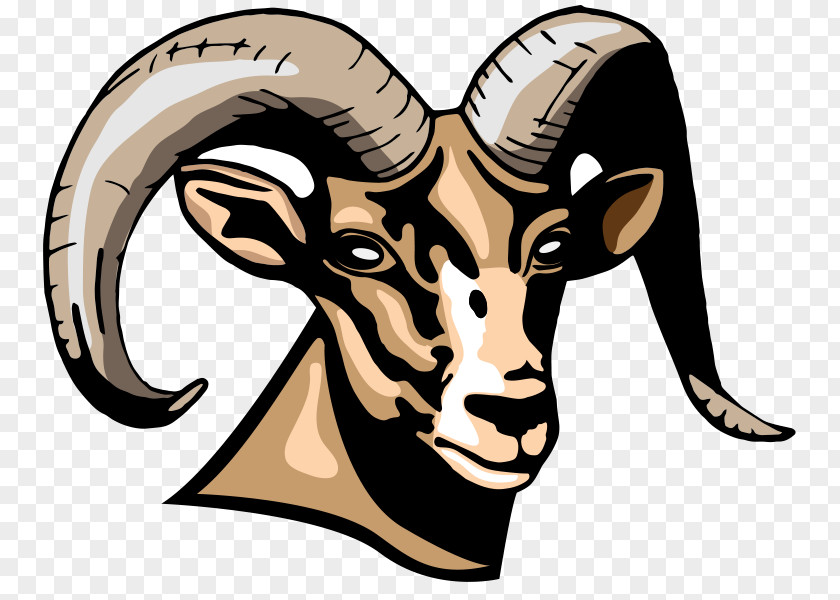 Rams Cheerleaders Sheep Sierra 2-8 School Billy Lane Lauffer Middle PNG