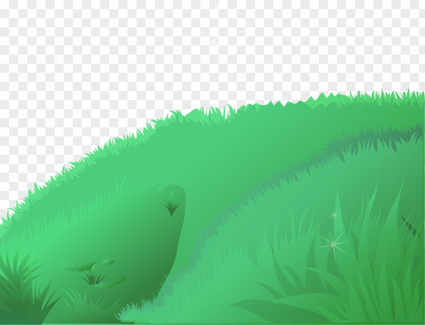 Vector Painted Grass Grasses Close-up Sky Computer Wallpaper PNG