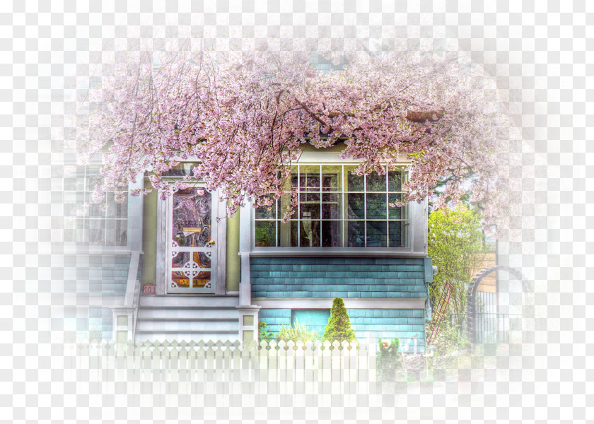Window Desktop Wallpaper Tree House High-definition Television PNG