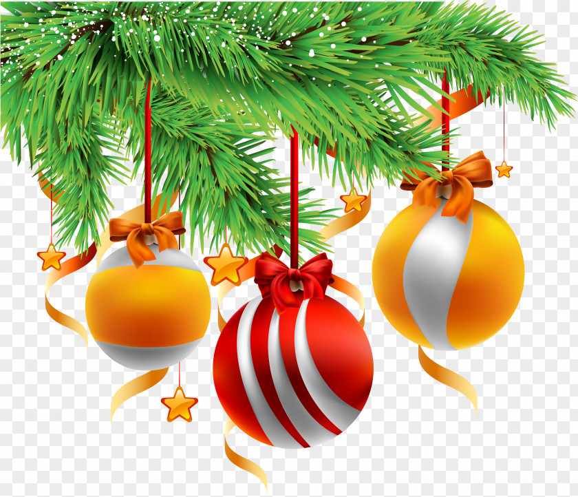 Christmas Fruit Decoration Gold Orange PNG