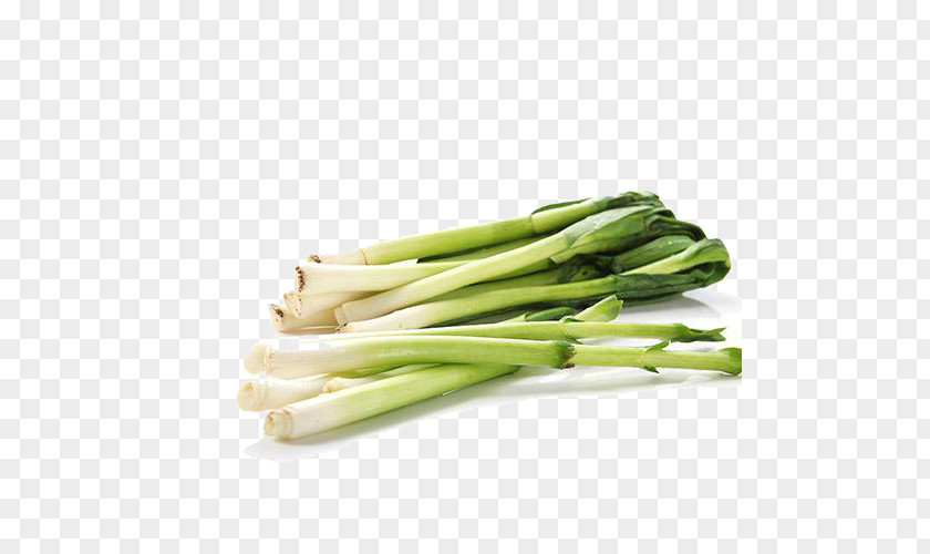 Free Green Onions Pull The Material Allium Fistulosum Onion Leek Scallion PNG