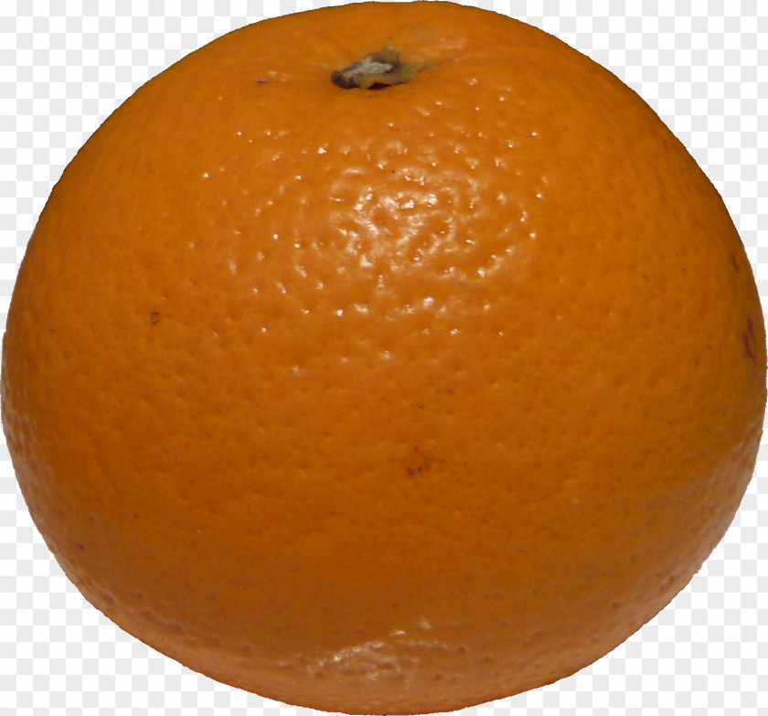 Grapefruit Blood Orange Tangerine Clementine Tangelo Mandarin PNG