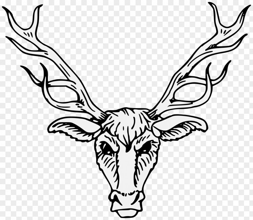 Kudu Coloring Book Drawing PNG