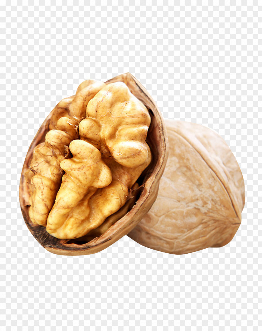 Walnut English Oil Vegetable PNG
