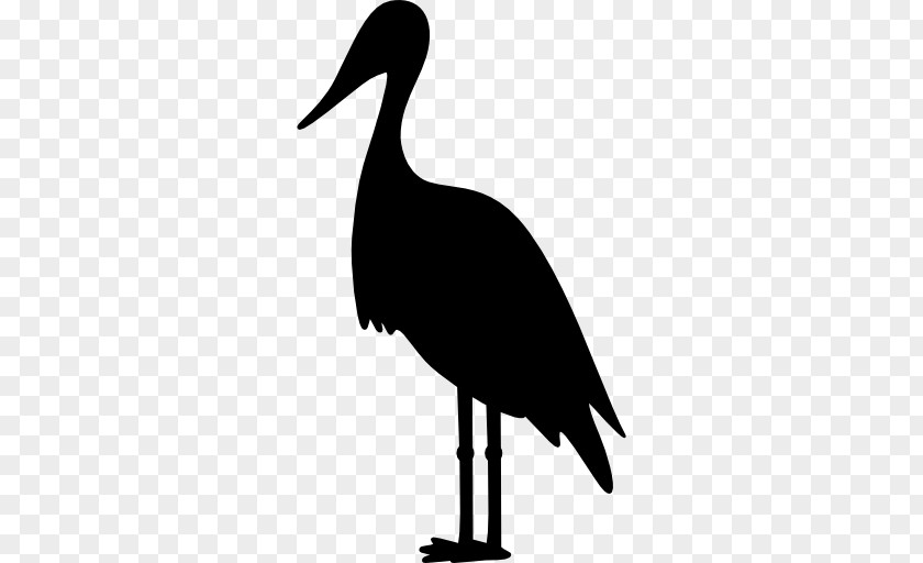 Crane White Stork Clip Art PNG